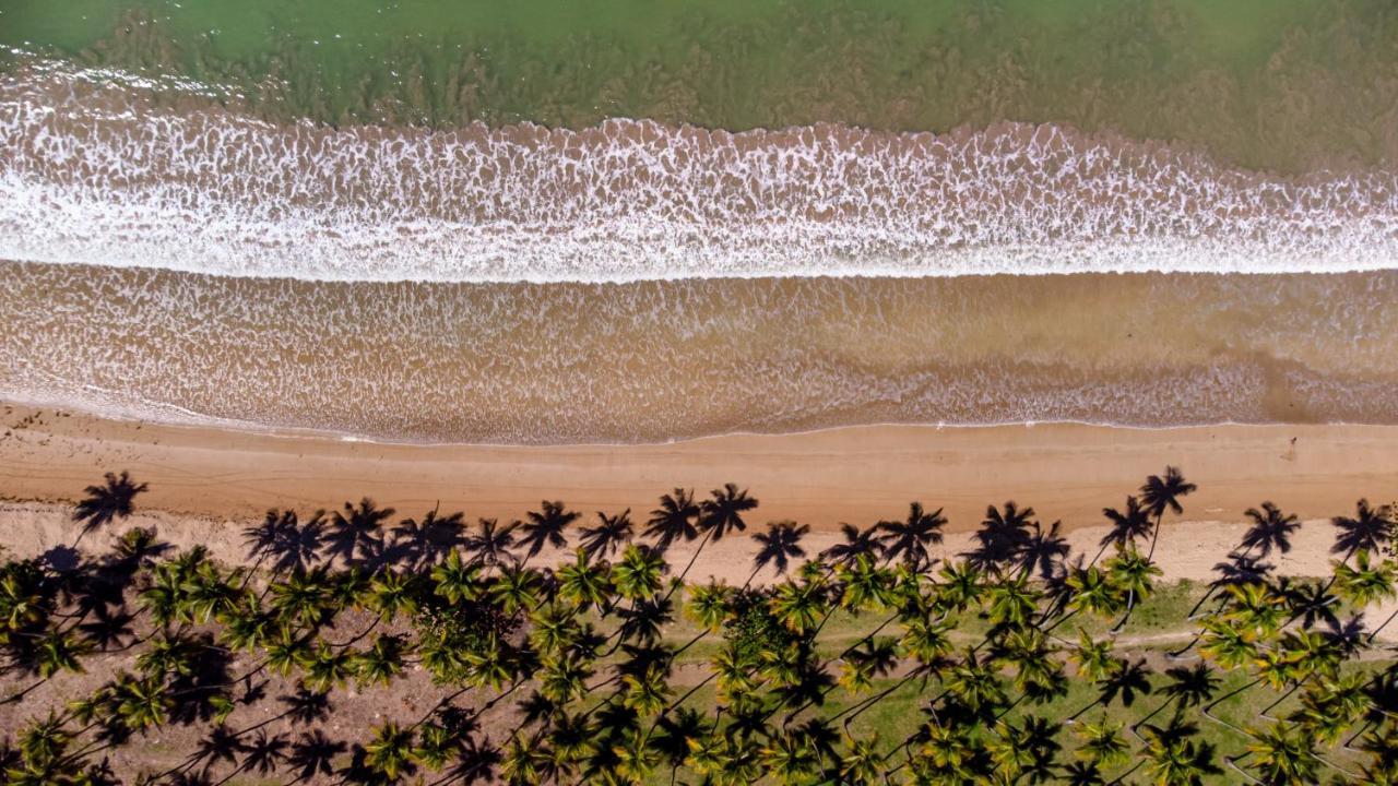 Bella Vida Casa Azul Leilighet Morro de São Paulo Eksteriør bilde